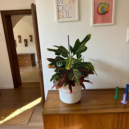 Heart Of Appartamento